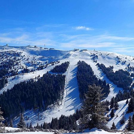 Woodside Apartment M Kopaonik Free Parking Экстерьер фото