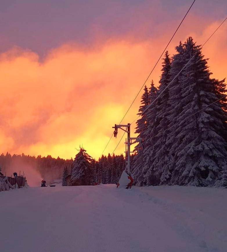 Woodside Apartment M Kopaonik Free Parking Экстерьер фото