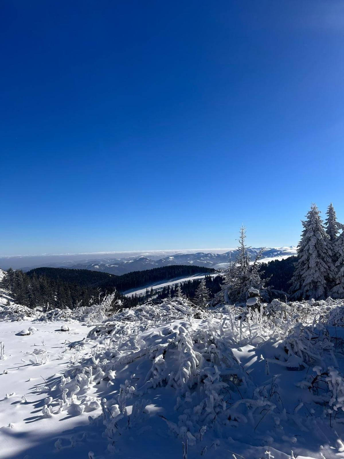 Woodside Apartment M Kopaonik Free Parking Экстерьер фото