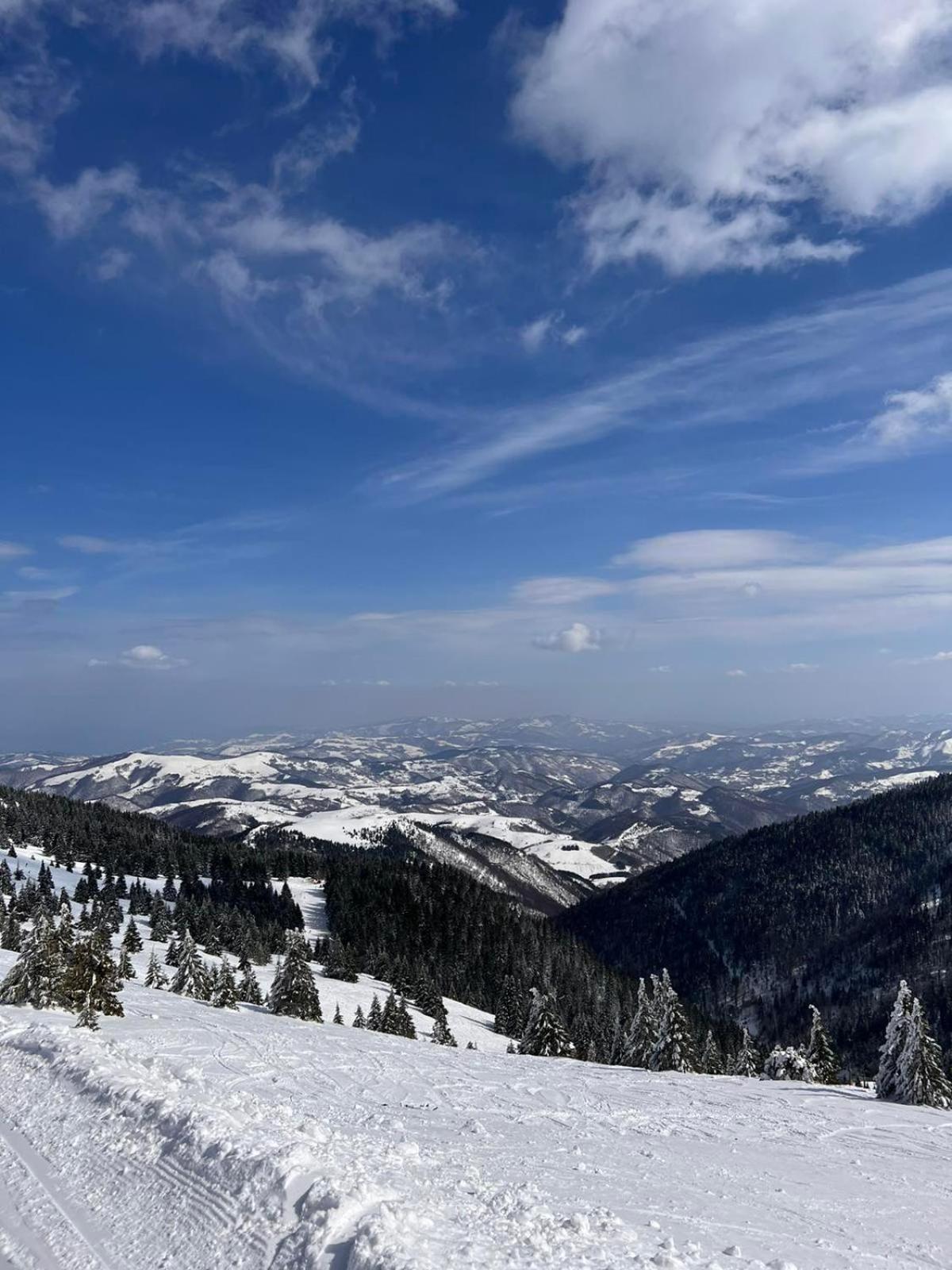 Woodside Apartment M Kopaonik Free Parking Экстерьер фото