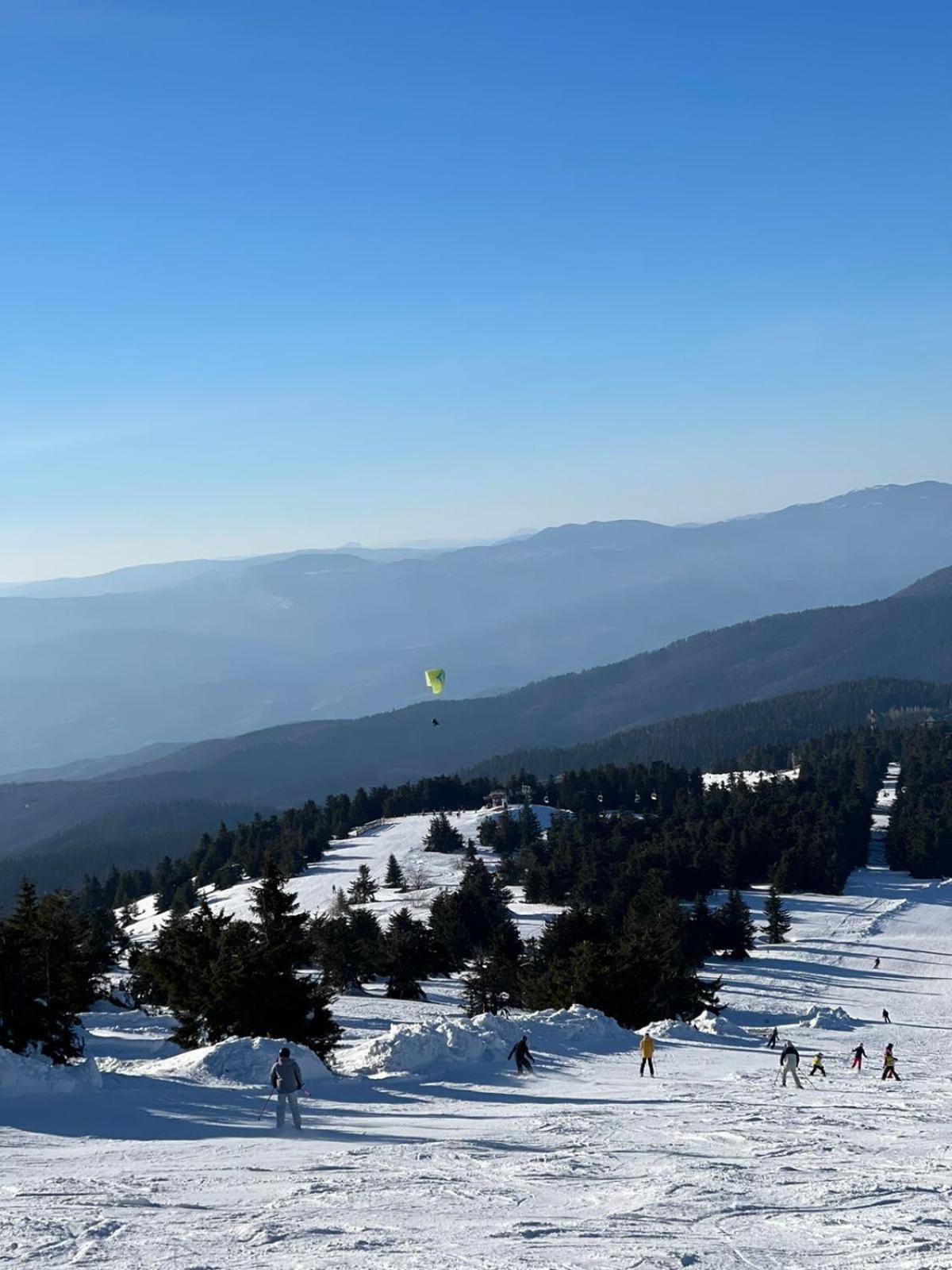 Woodside Apartment M Kopaonik Free Parking Экстерьер фото