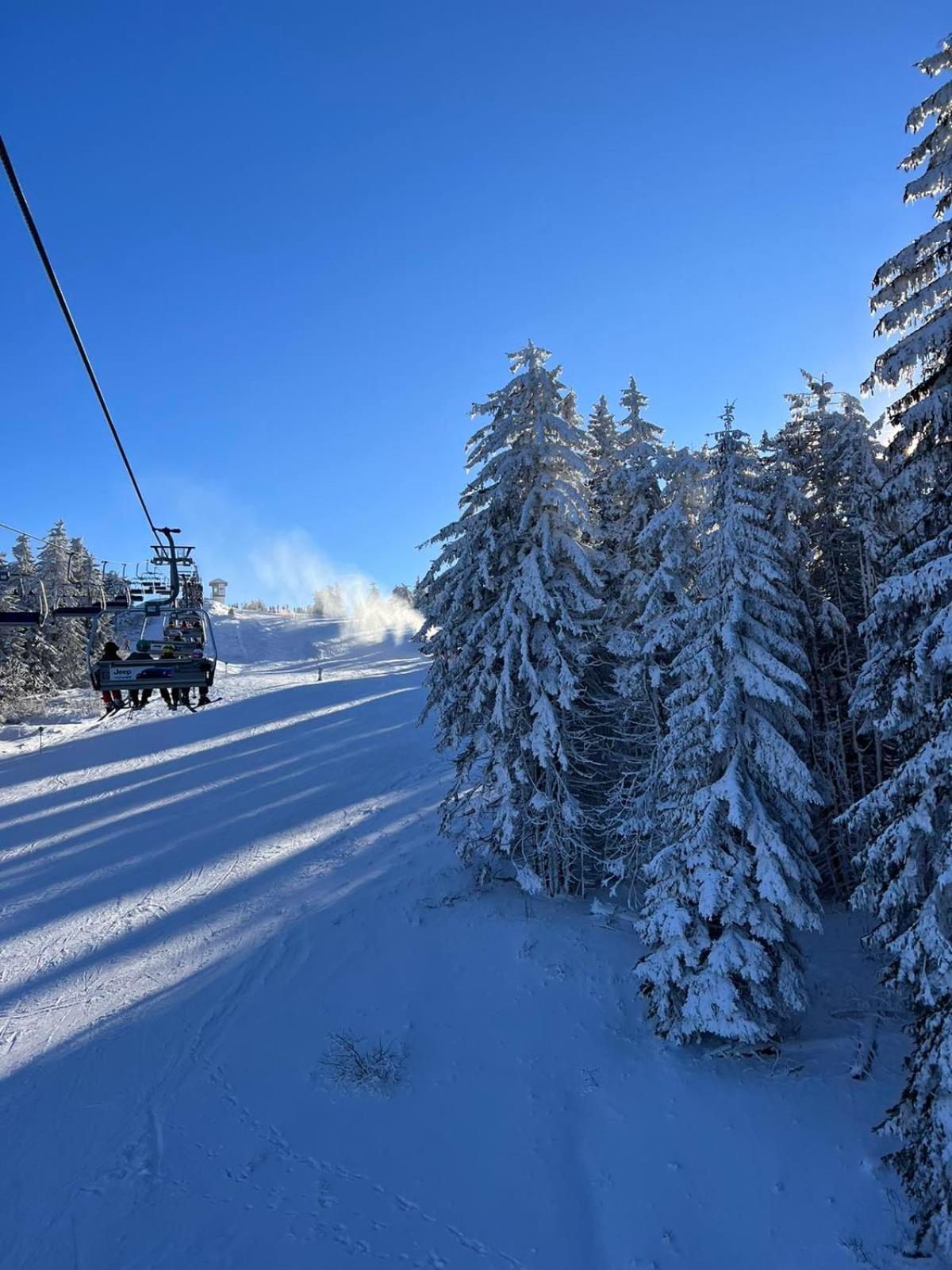 Woodside Apartment M Kopaonik Free Parking Экстерьер фото